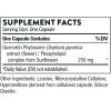 imageTHORNE  Immune Support Duo  Quercetin Phytosome ampamp NAC for Balanced Immune and Respiratory Wellness  30 Servings